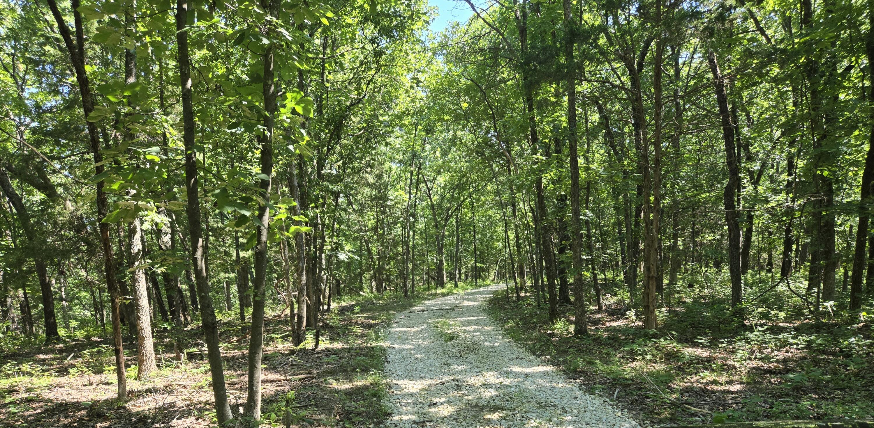 State Hwy 42 Property Photo 3