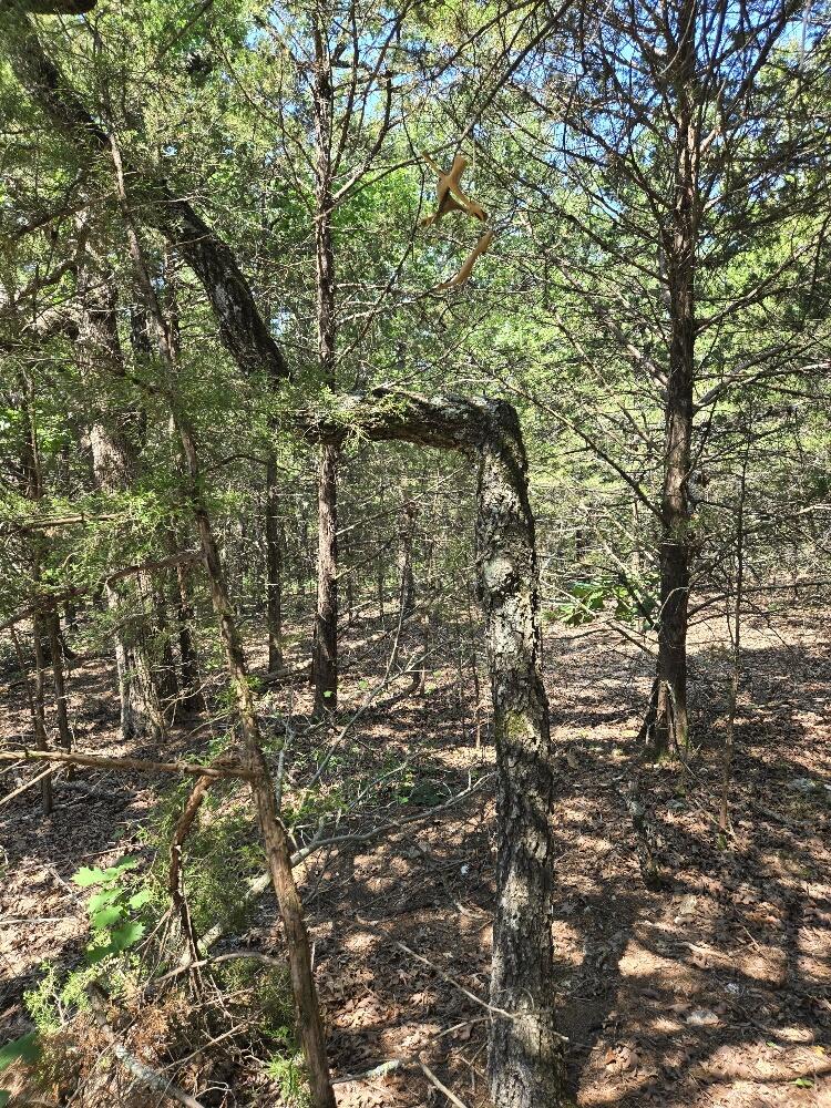 State Hwy 42 Property Photo 5