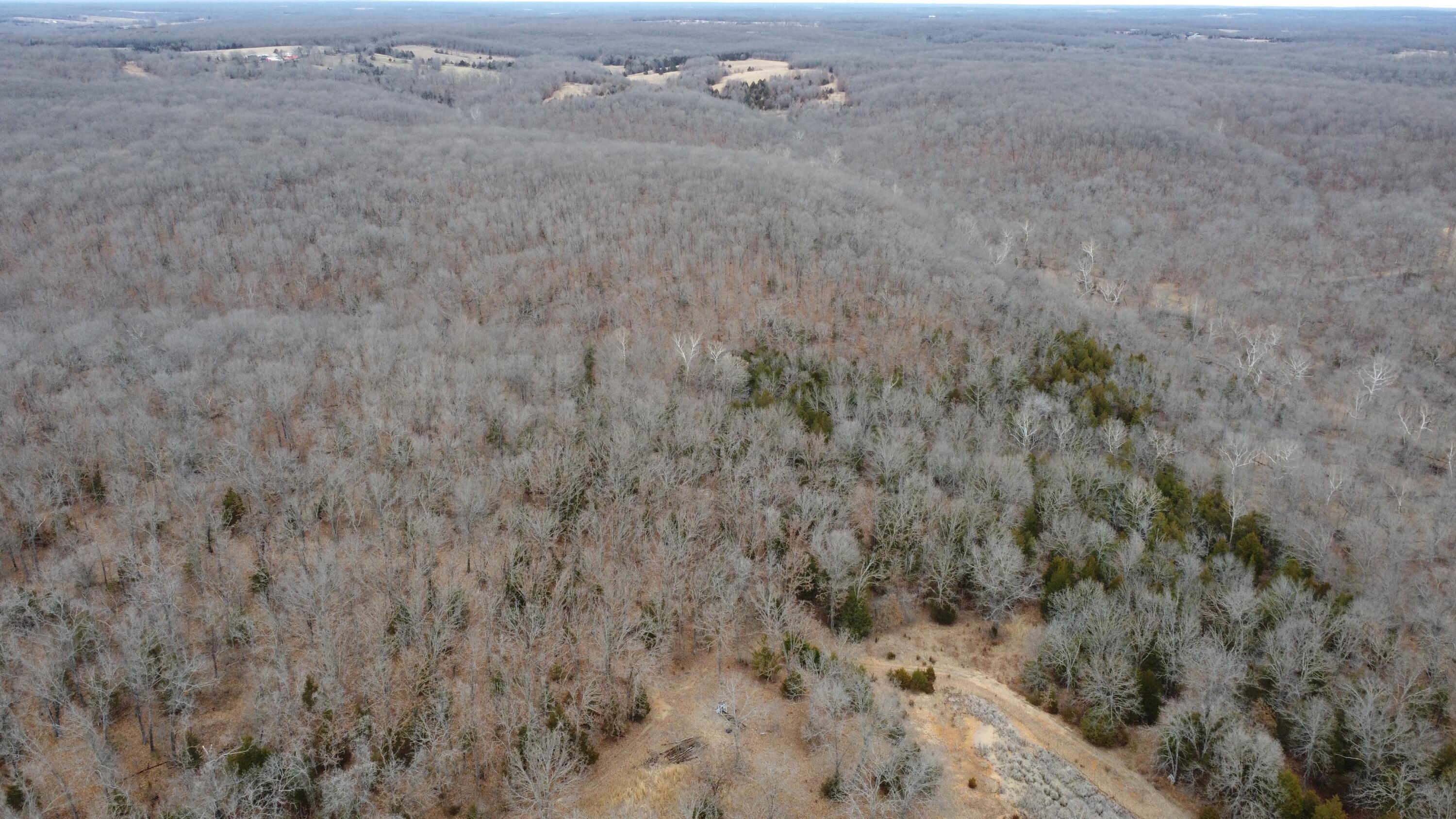 99.5 ACRES COUNTY ROAD 40