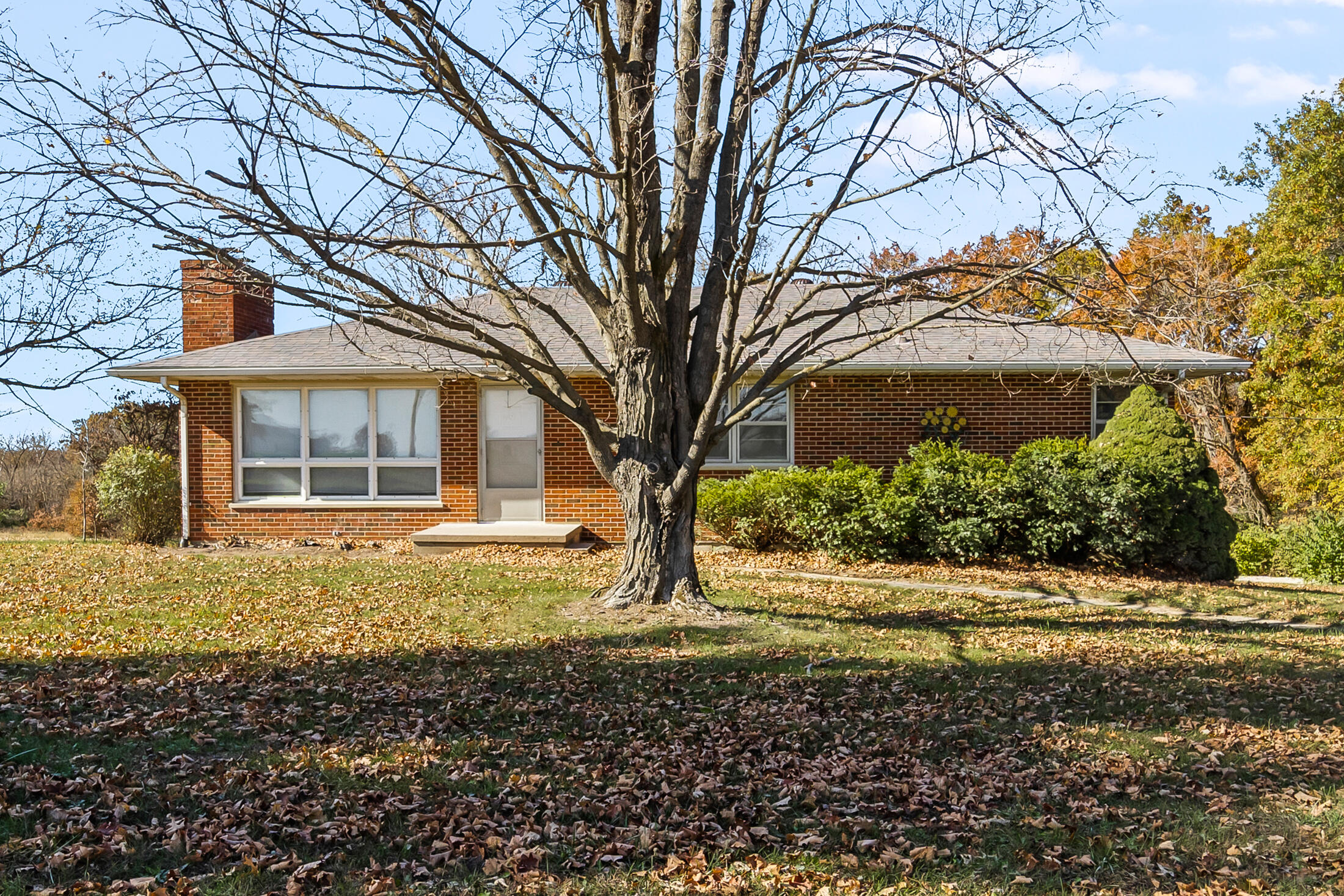 3319 County Rd 223 Property Photo 1
