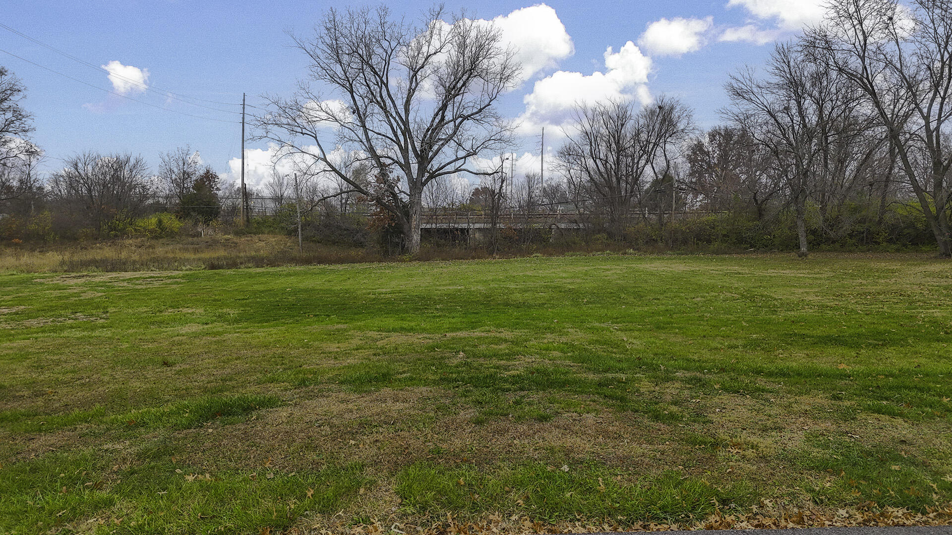 1415 Scott St Property Photo 3
