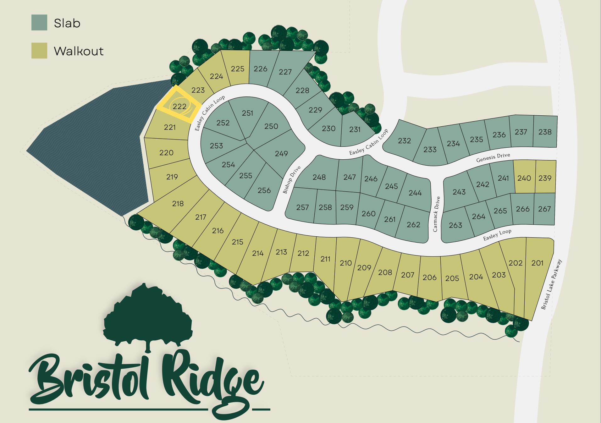 Lot 222 Easley Cabin Cir Property Photo 1
