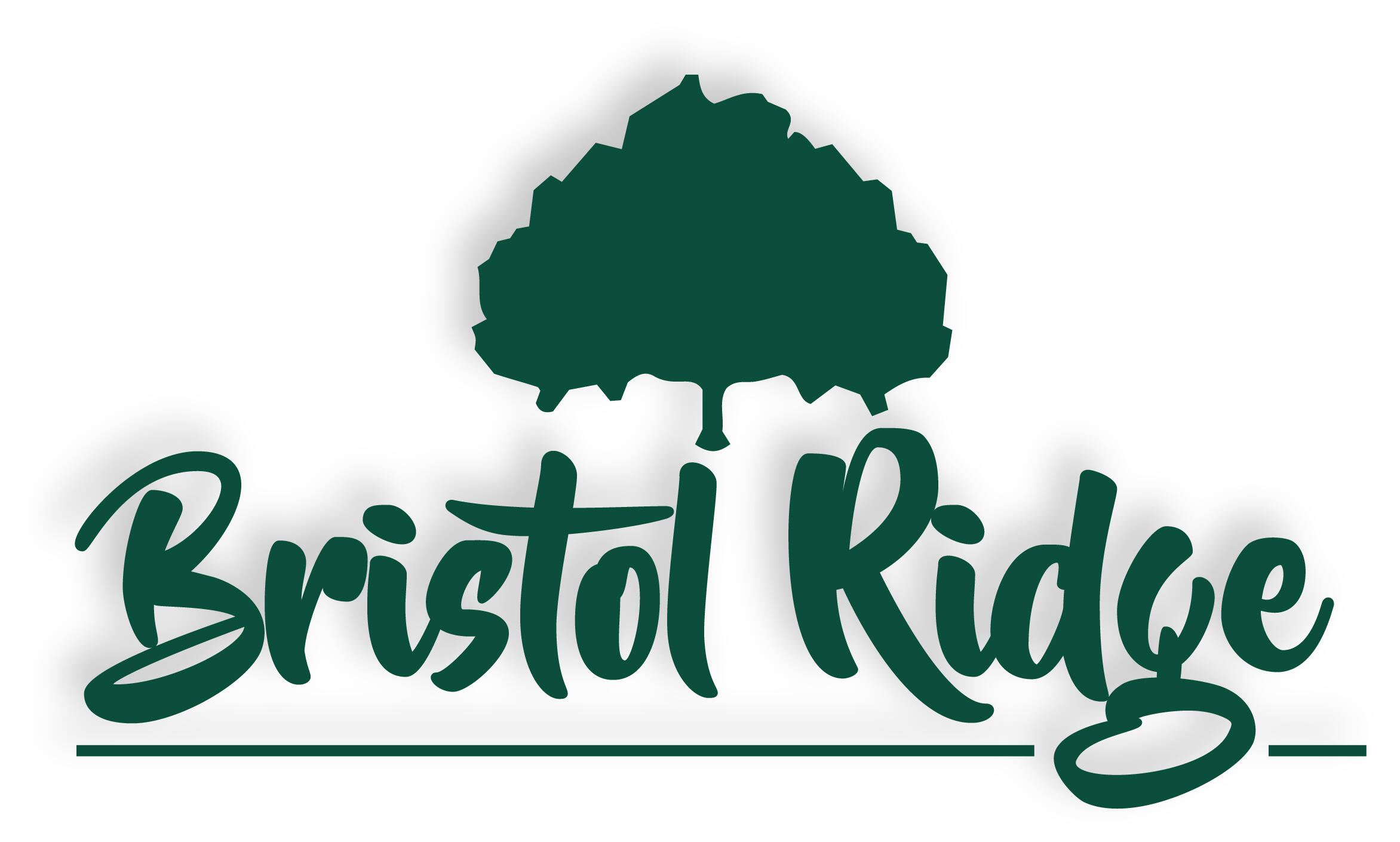 Lot 234 Genesis Dr Property Photo 1