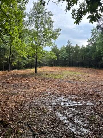 23 Acres Minor Hill Rd Property Photo 1