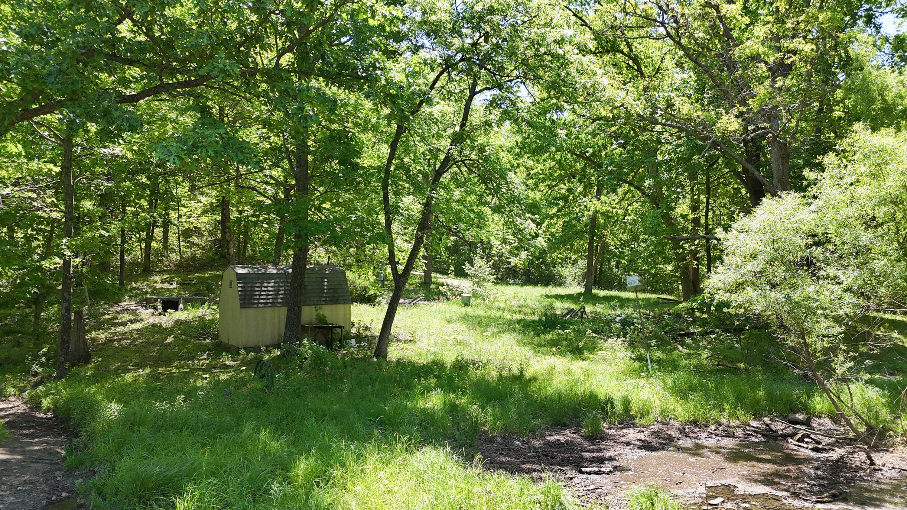 1041 Doeskin Court Property Photo 4