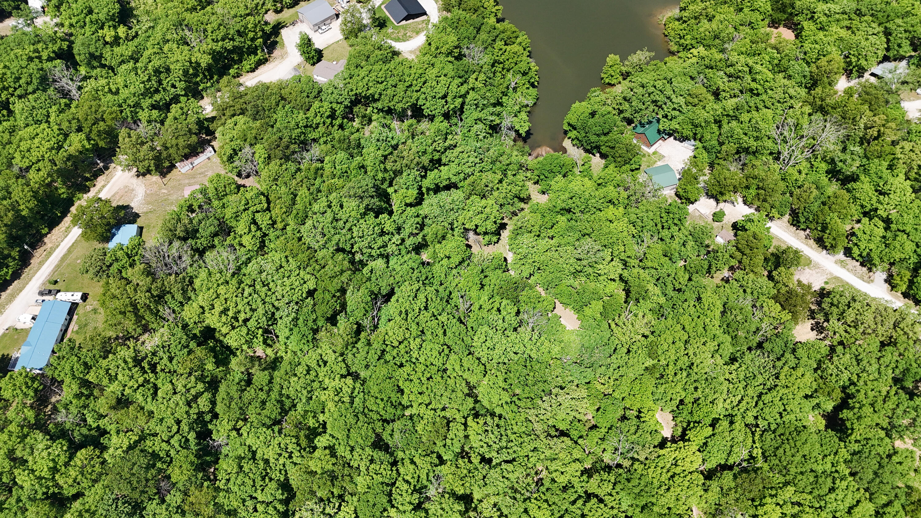 1041 Doeskin Court Property Photo 11