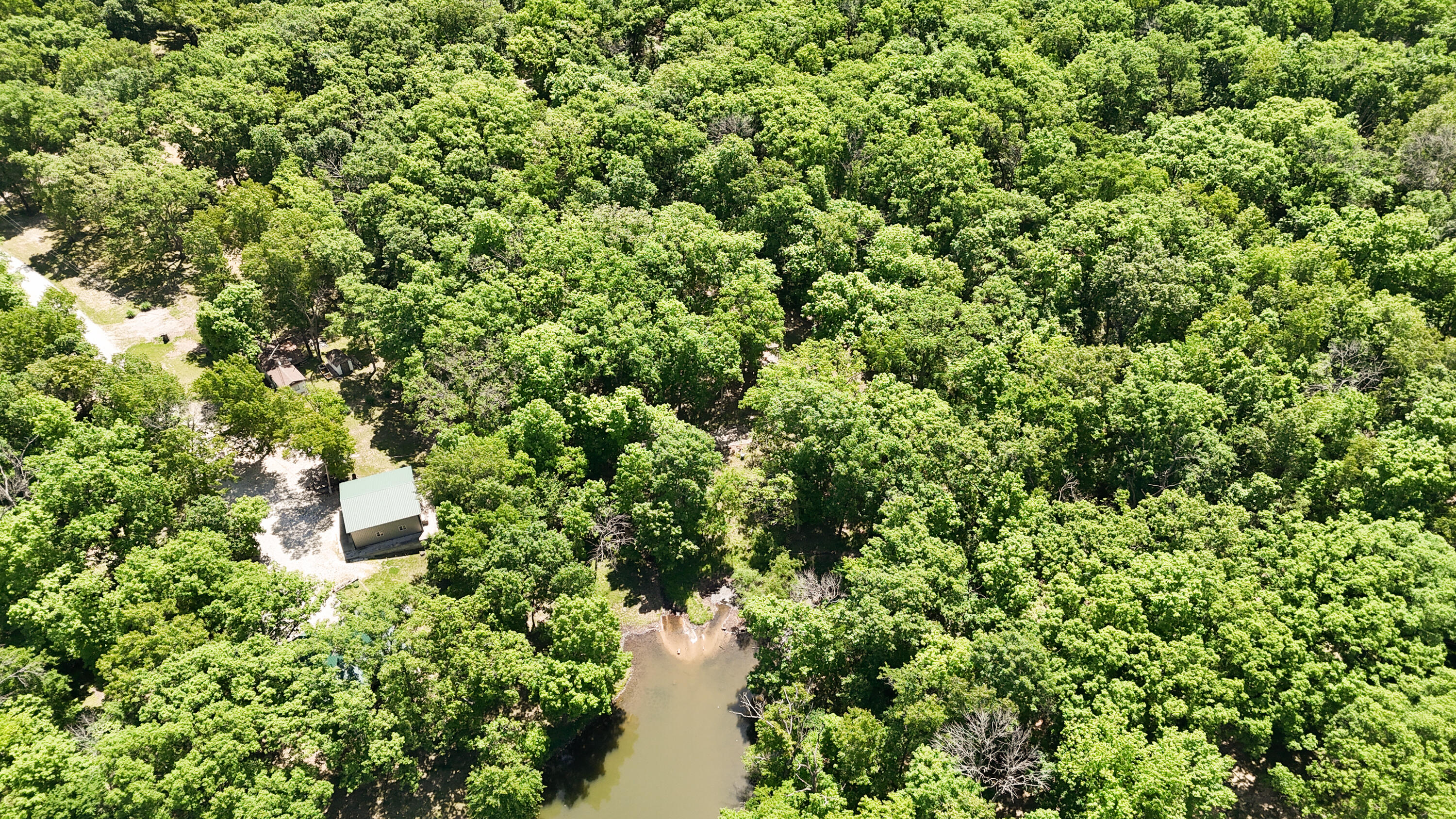 1041 Doeskin Court Property Photo 14
