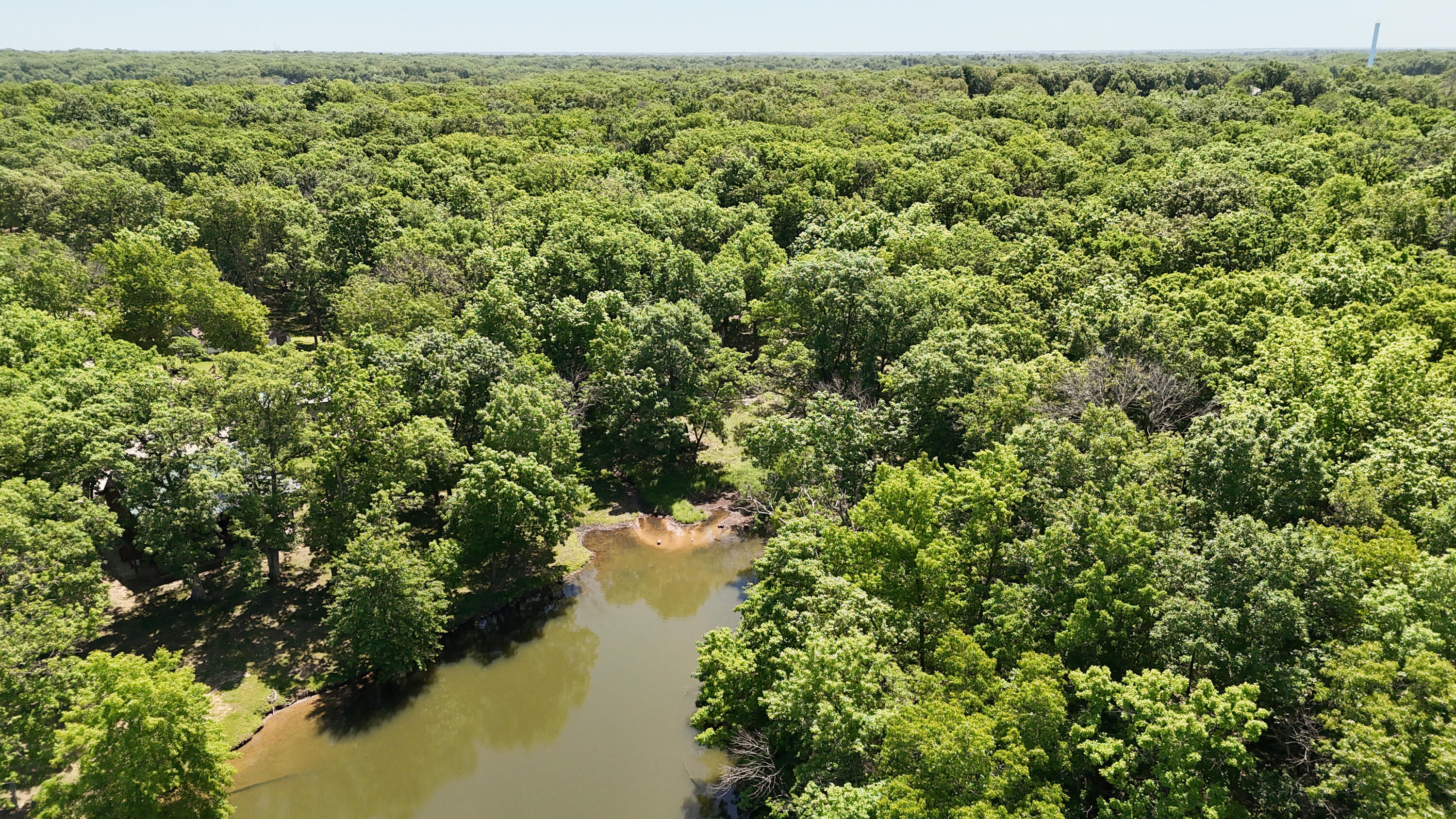 1041 Doeskin Court Property Photo 15