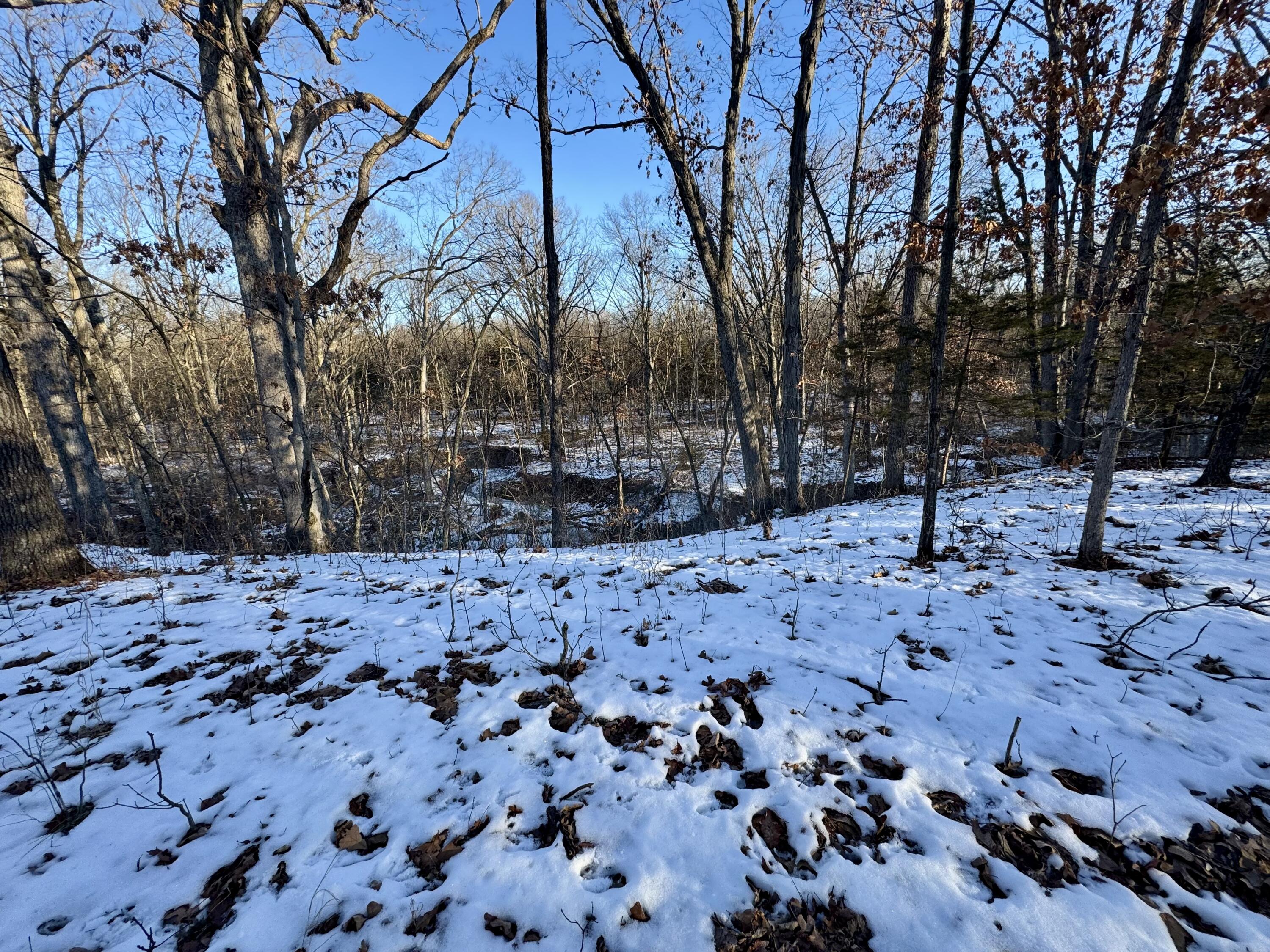 Tract 3 E Mt Zion Church Rd Property Photo 1