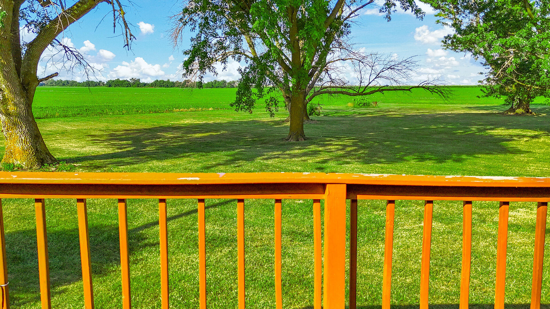 36950 Highway K Property Photo 29