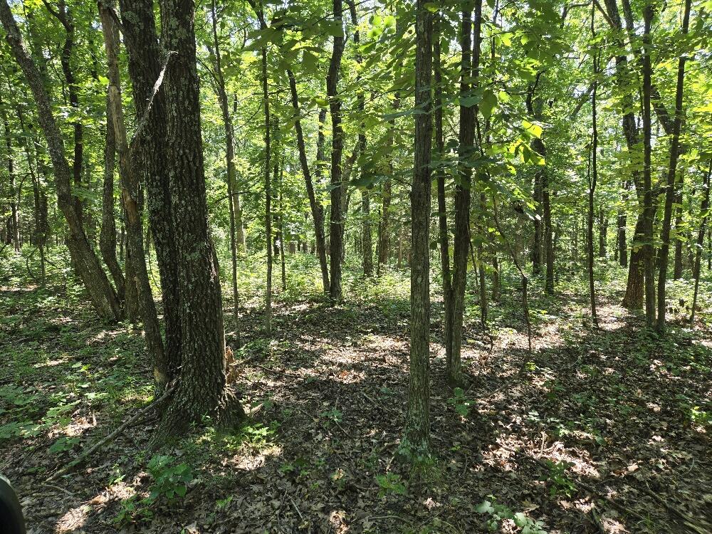 State Hwy 42 Property Photo 1
