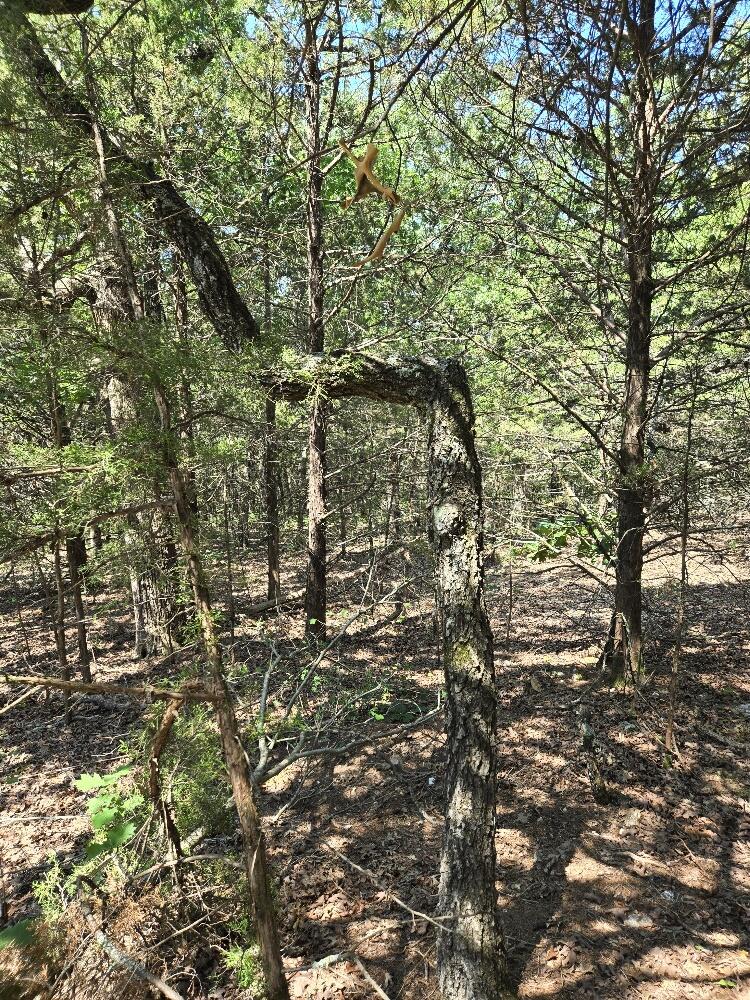 State Hwy 42 Property Photo 5