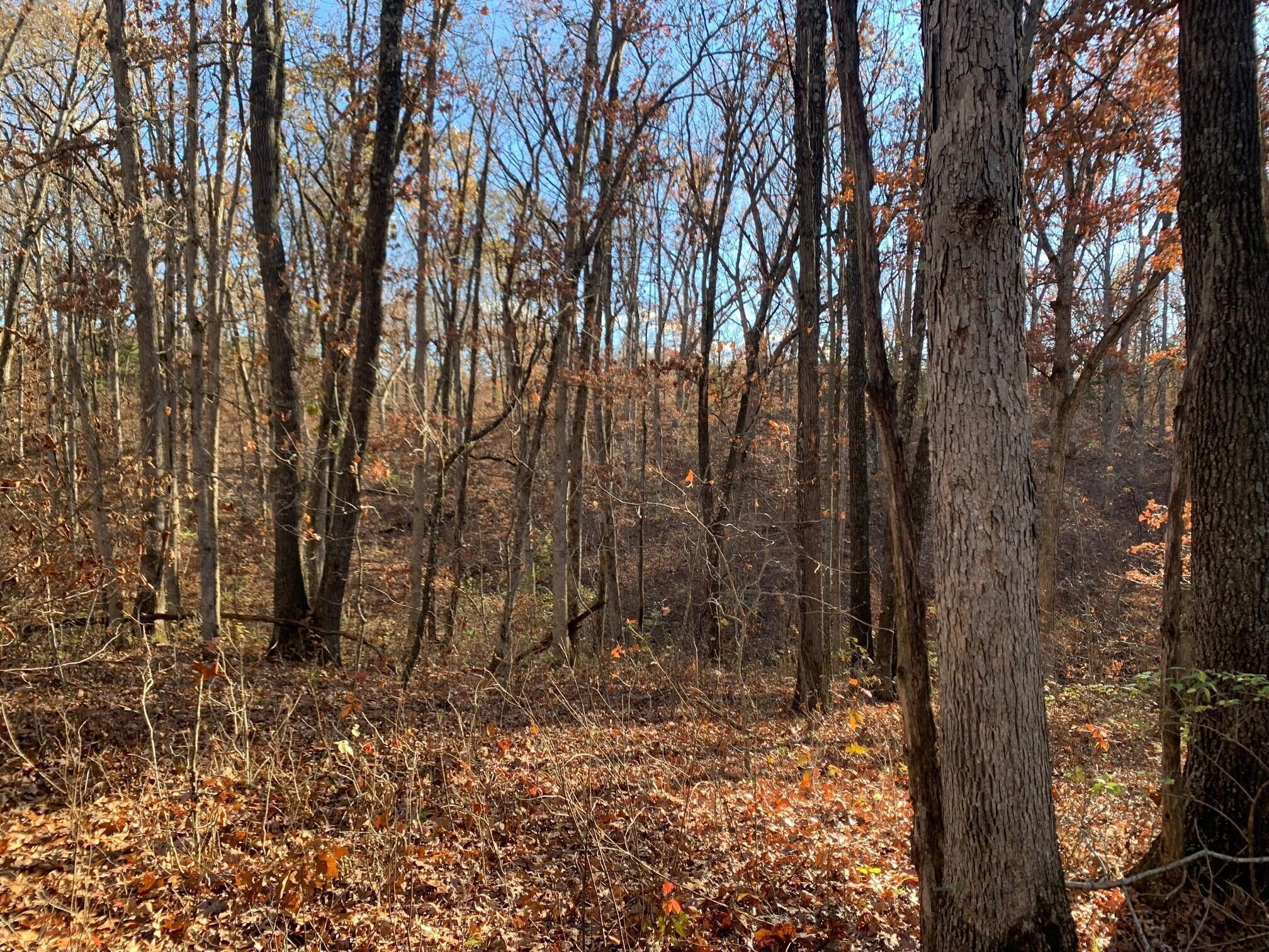9.04 Acres N Ridge Rd Property Photo 1