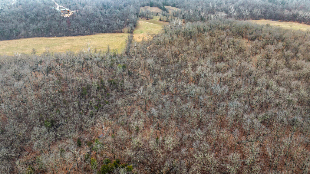 5754 Dry Branch Rd Property Photo 5