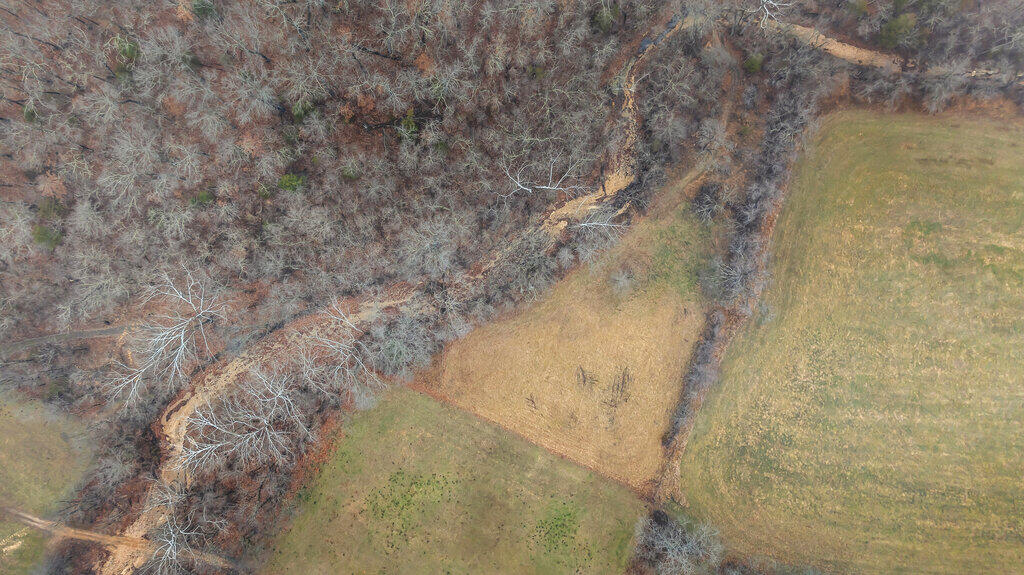 5754 Dry Branch Rd Property Photo 6