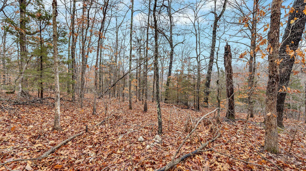 5754 Dry Branch Rd Property Photo 8