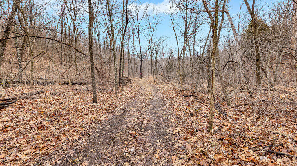 5754 Dry Branch Rd Property Photo 11