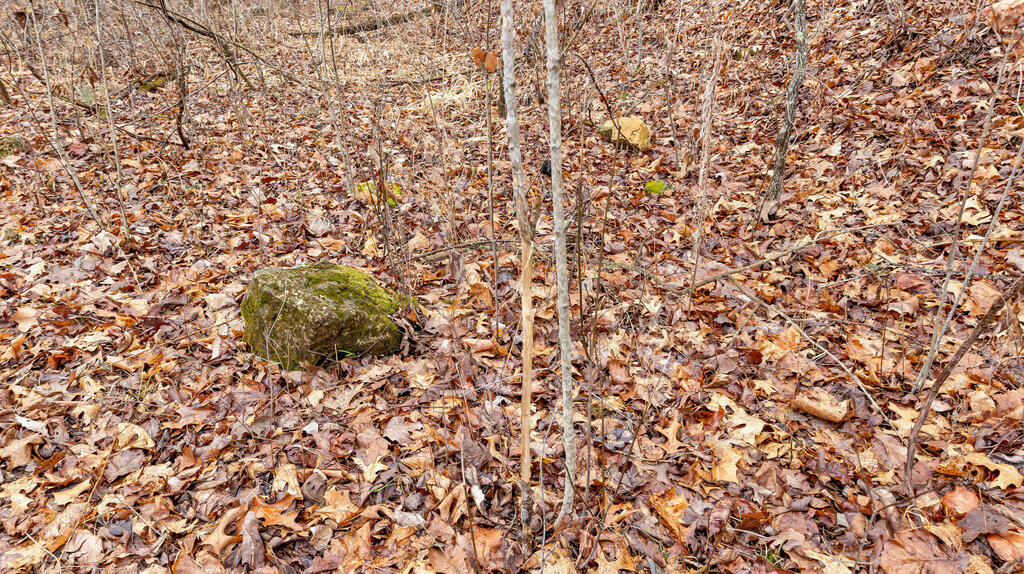 5754 Dry Branch Rd Property Photo 13