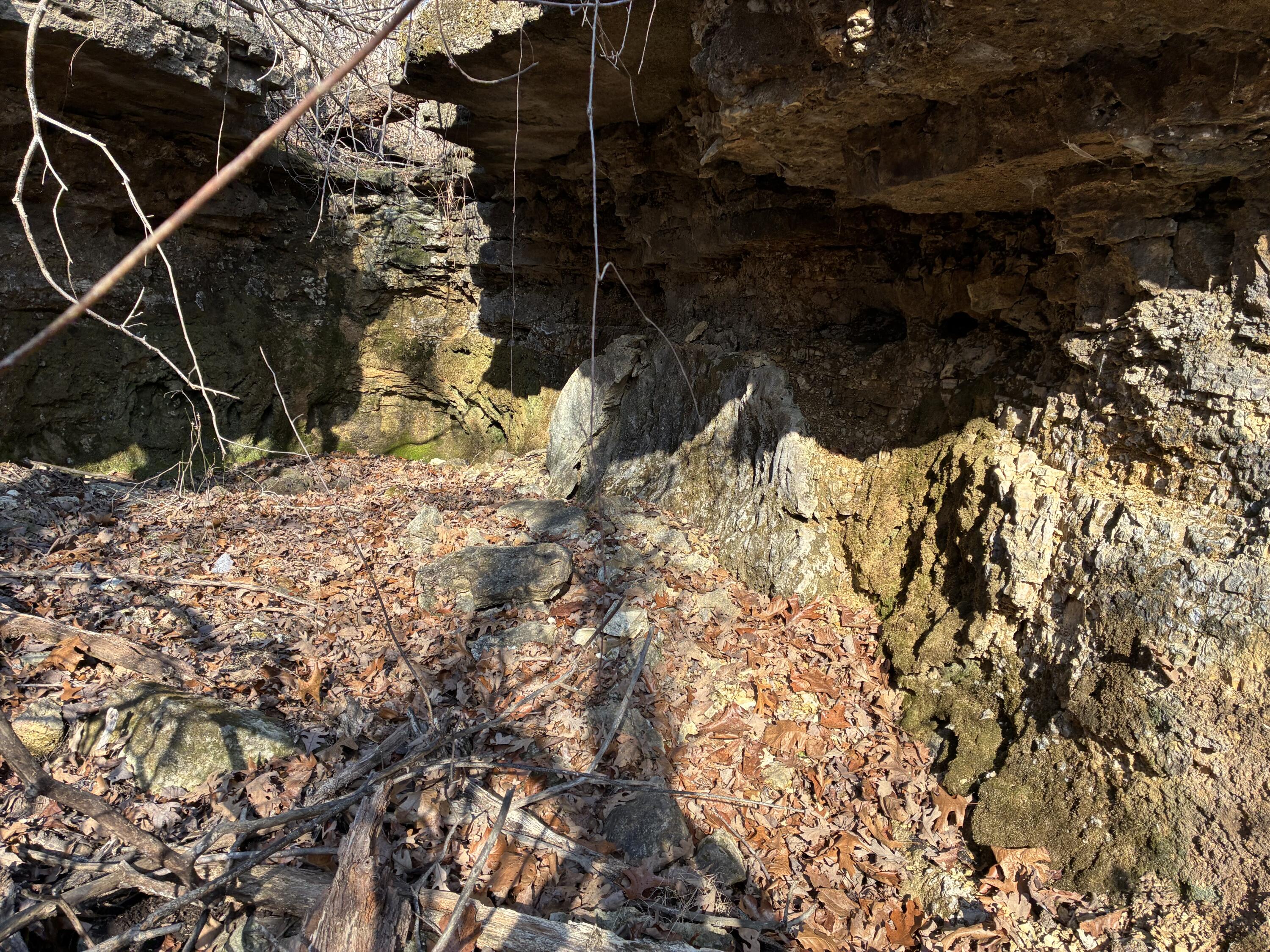 5754 Dry Branch Rd Property Photo 15