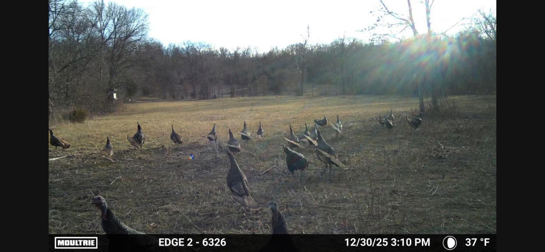 5754 Dry Branch Rd Property Photo 17