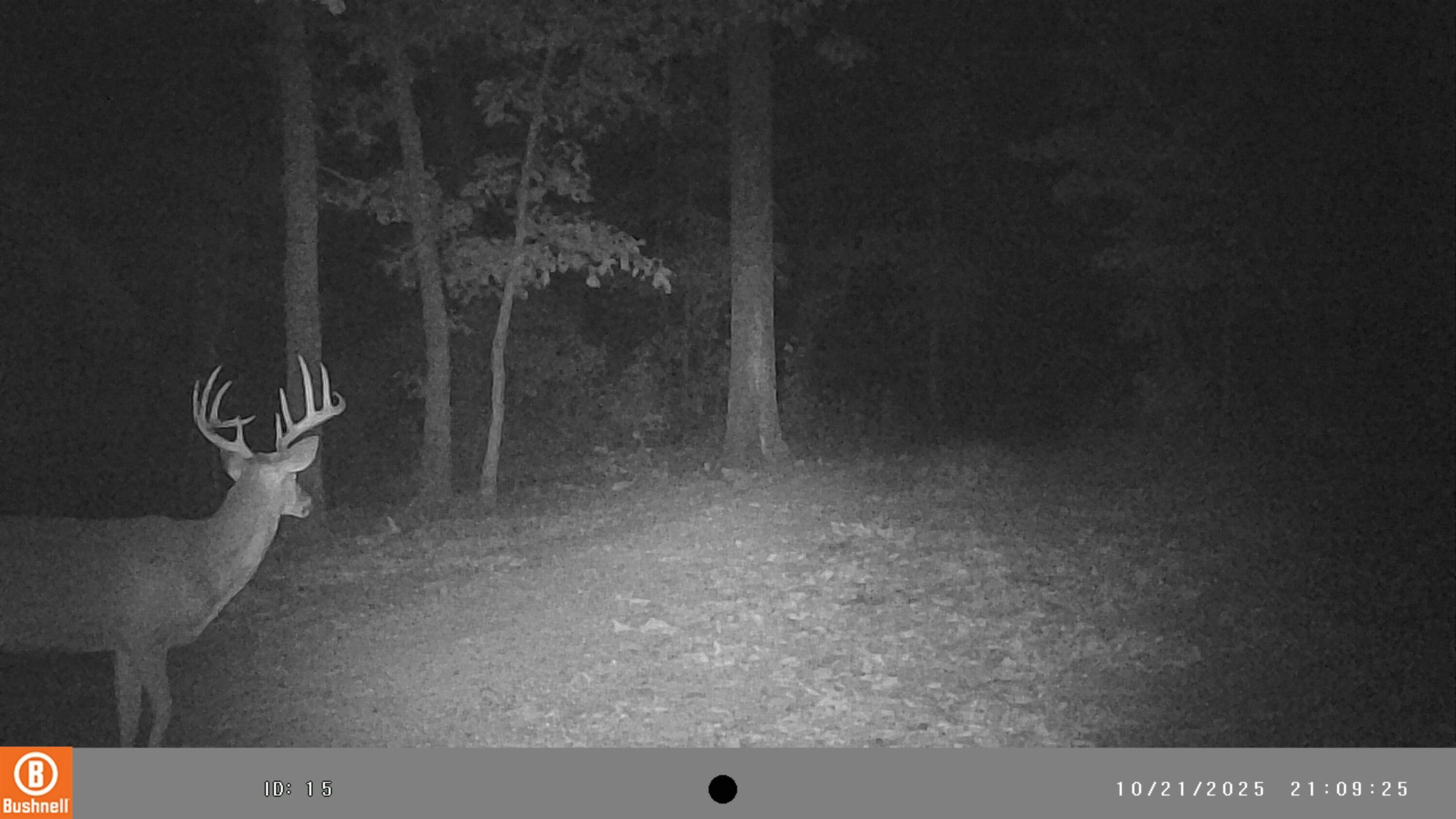 5754 Dry Branch Rd Property Photo 18