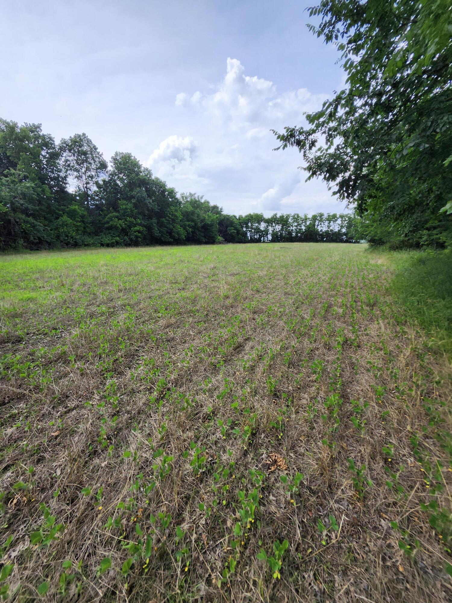 TRACT 4 E MCHATTON RD Property Photo 1