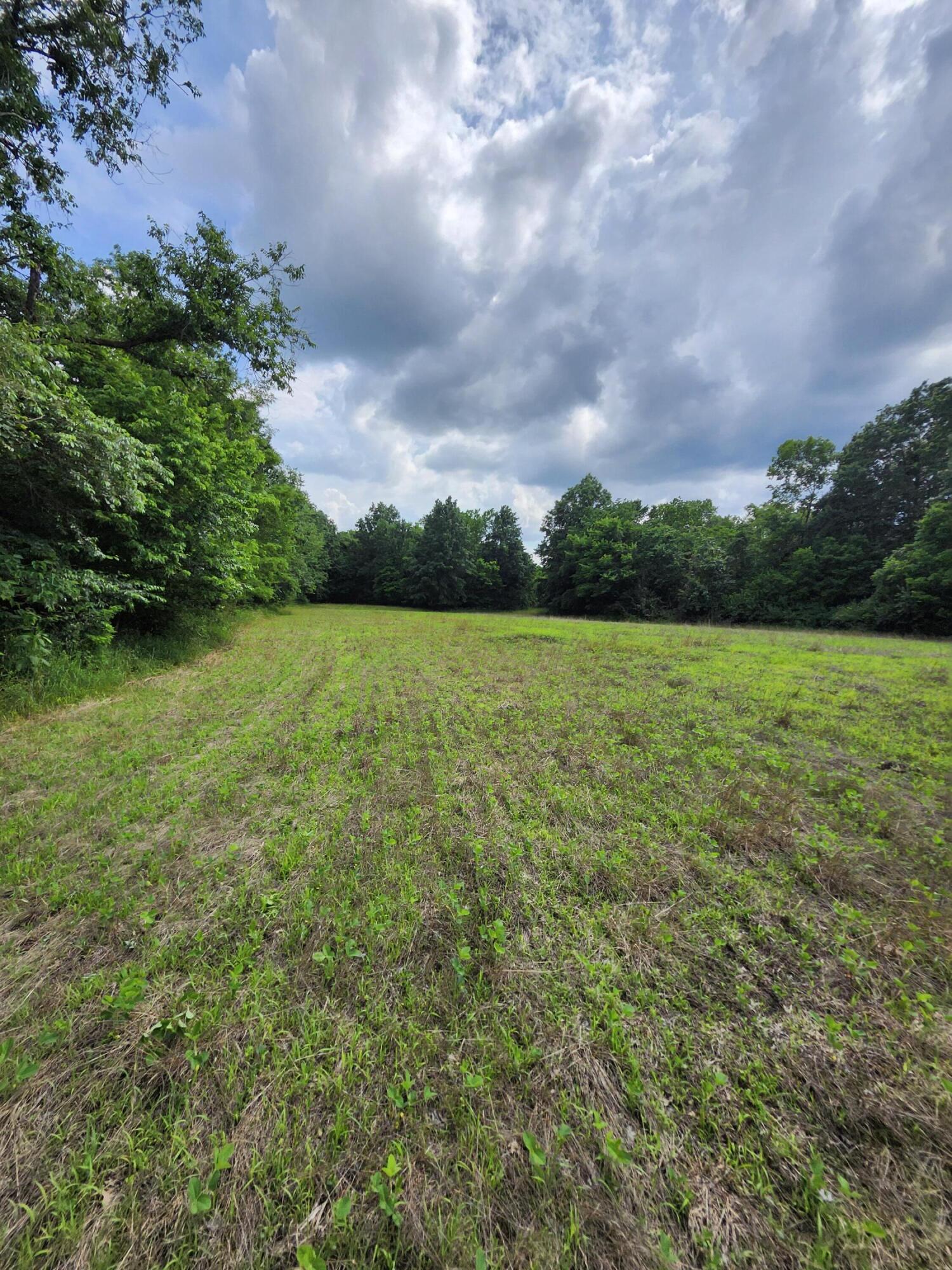 Tract 4 E Mchatton Rd Property Photo 3