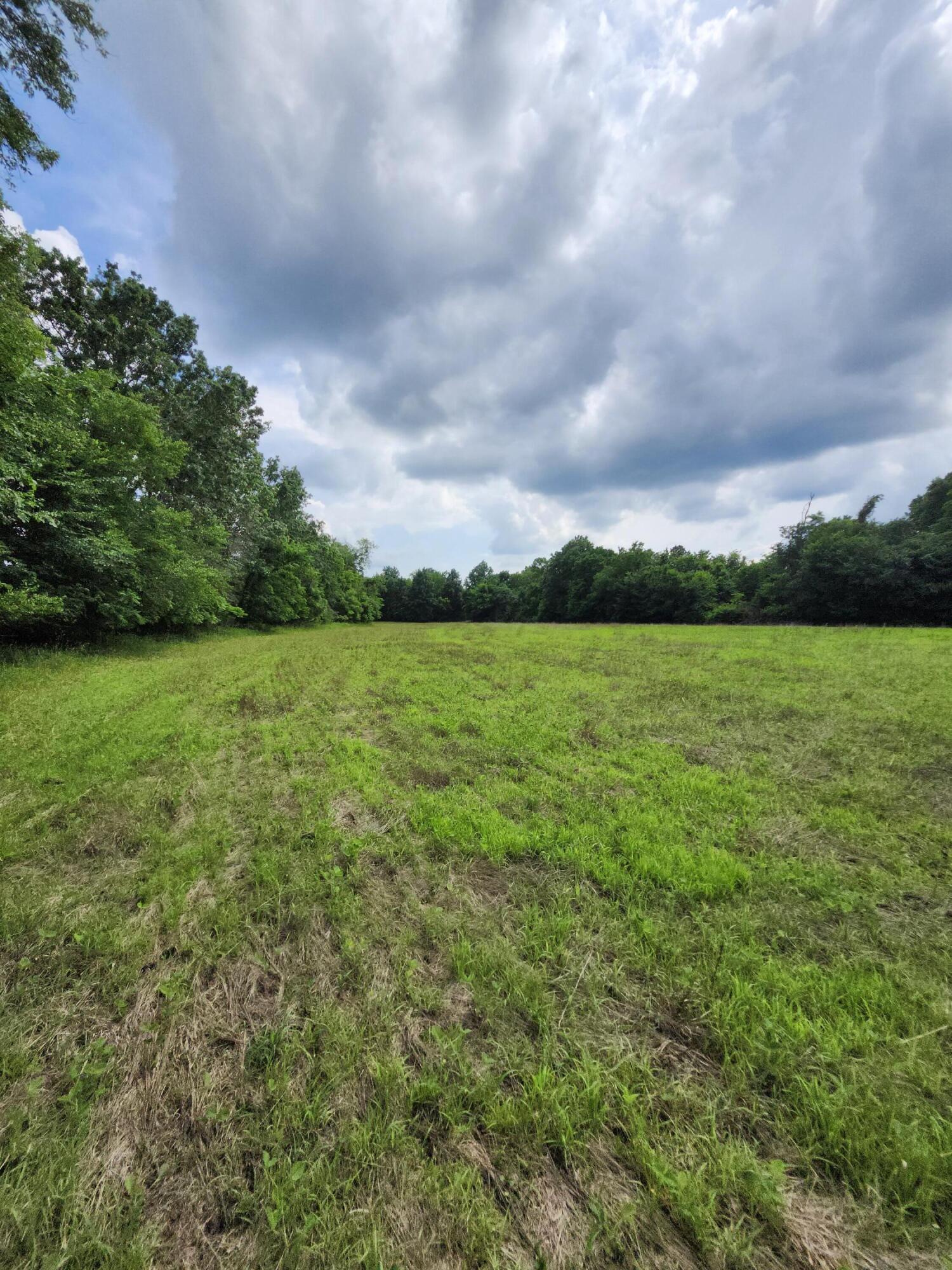 Tract 4 E Mchatton Rd Property Photo 5