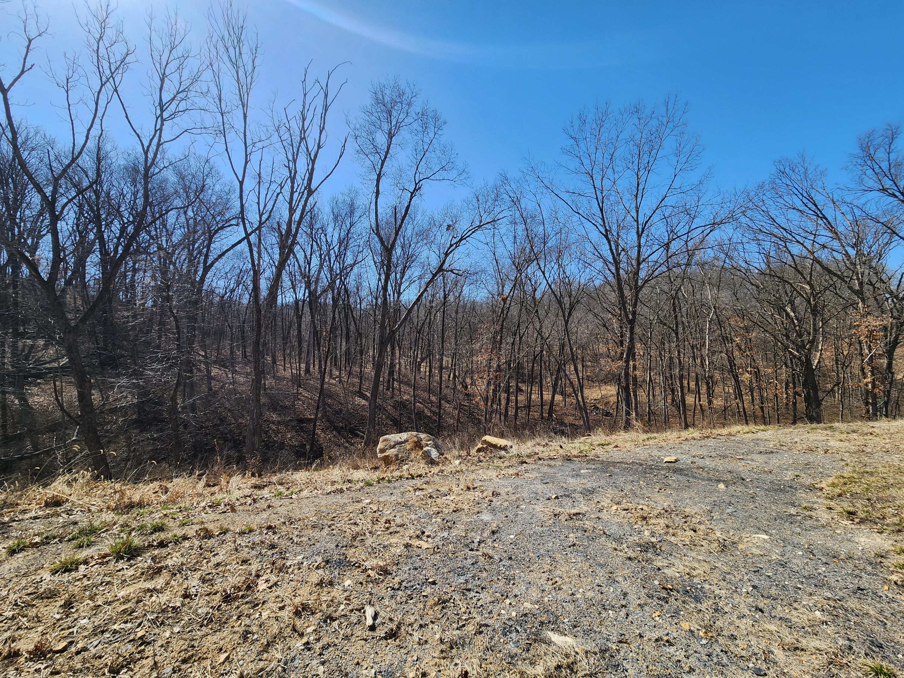1322 Stonehaven Ct Property Photo 10