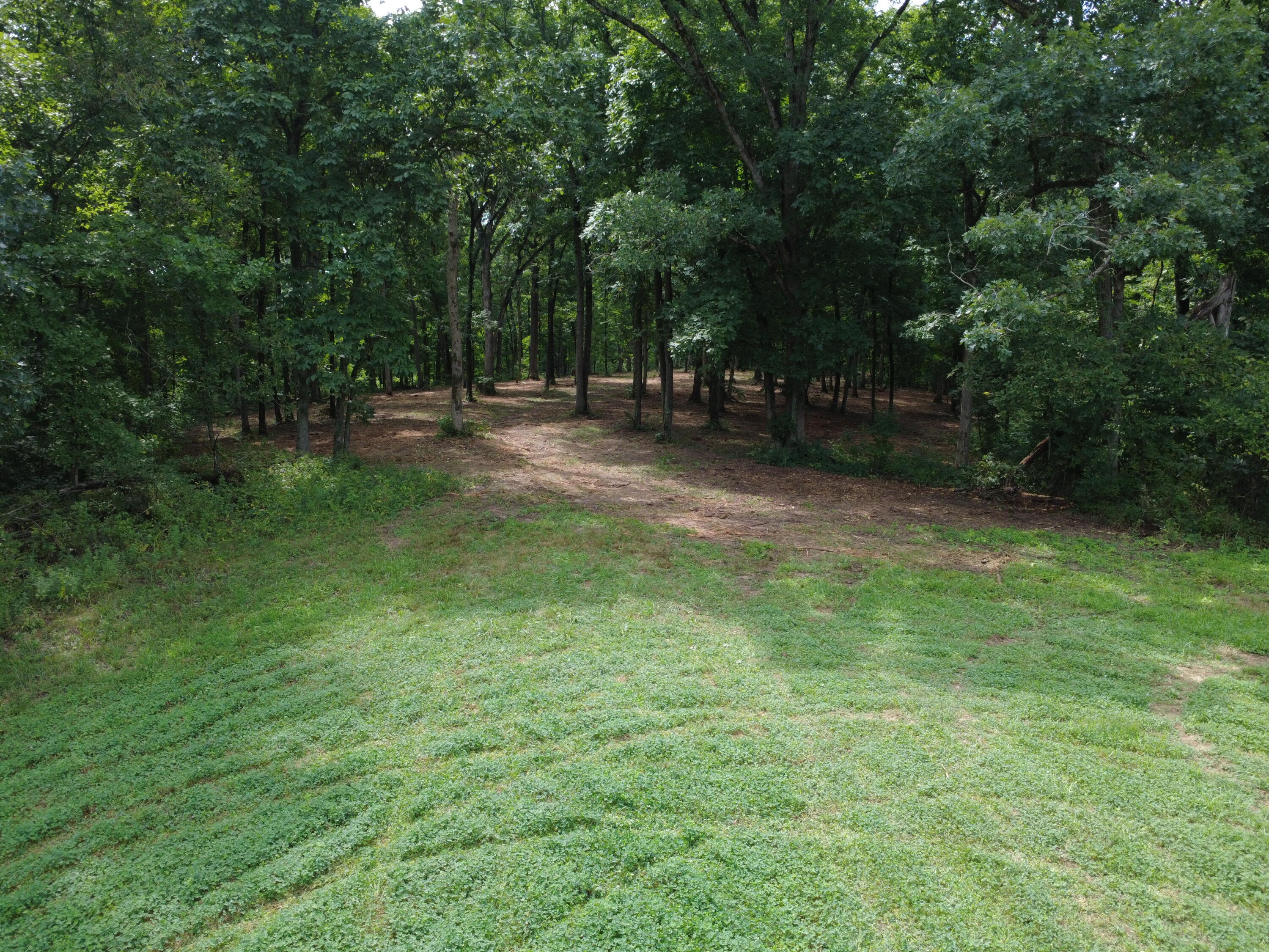 Lot 14 W Mariposa Ridge Rd Property Photo 1