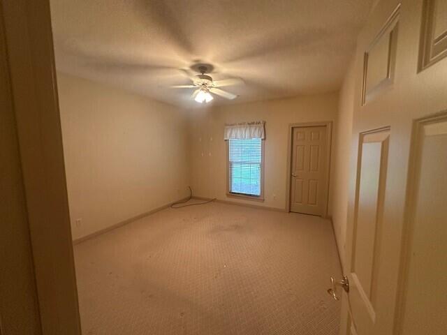 210 Blue Sky Ct Property Photo 13