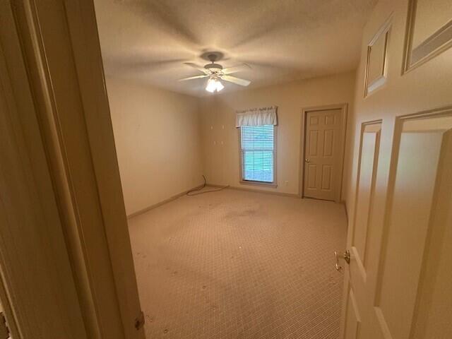 210 Blue Sky Ct Property Photo 15