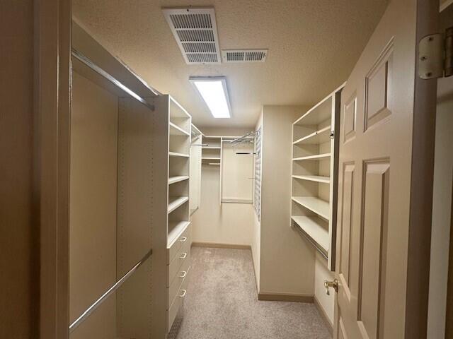 210 Blue Sky Ct Property Photo 21