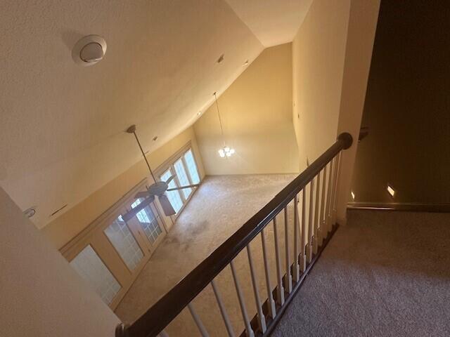 210 Blue Sky Ct Property Photo 38