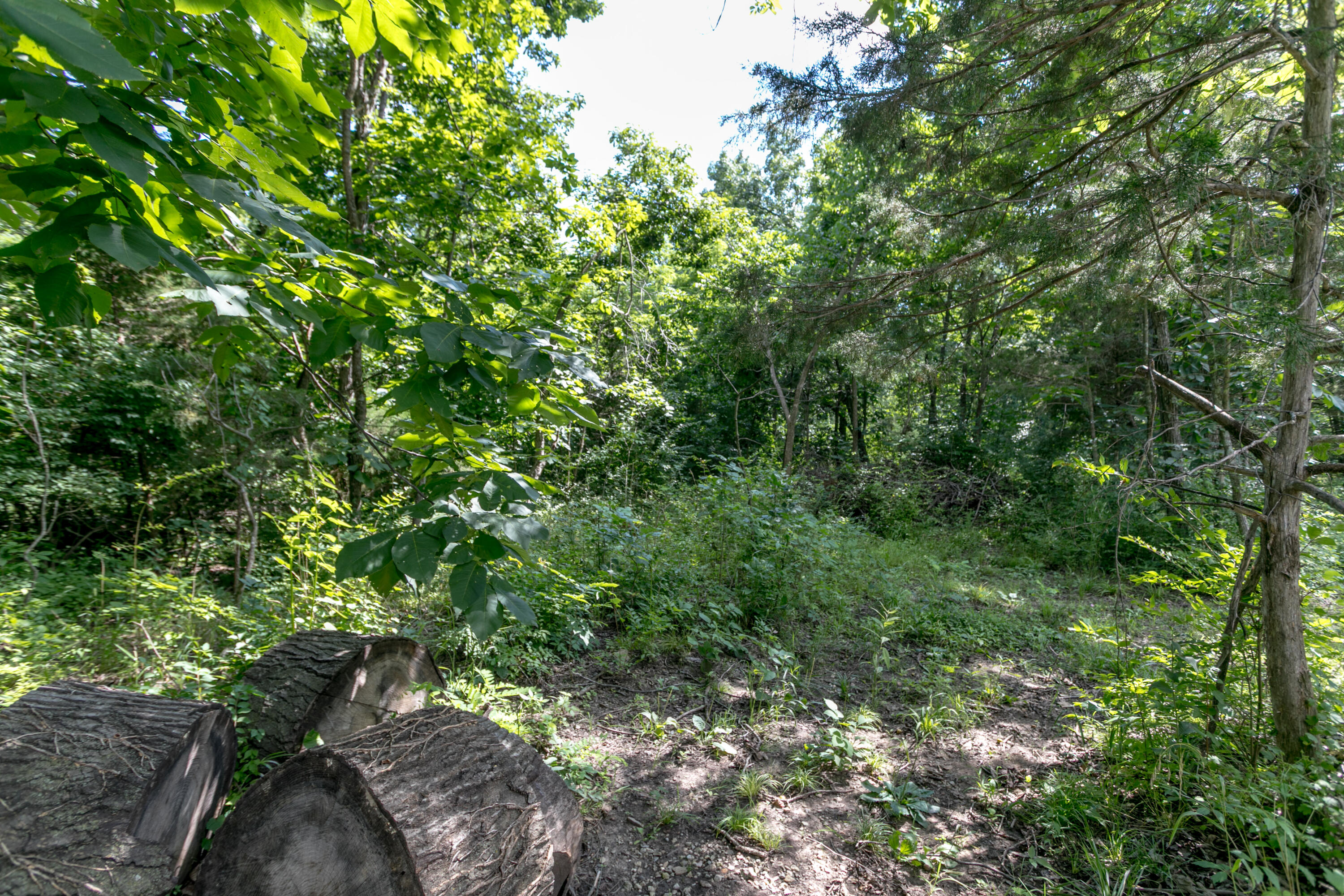 5860 E Osage Ridge Ln Property Photo 95