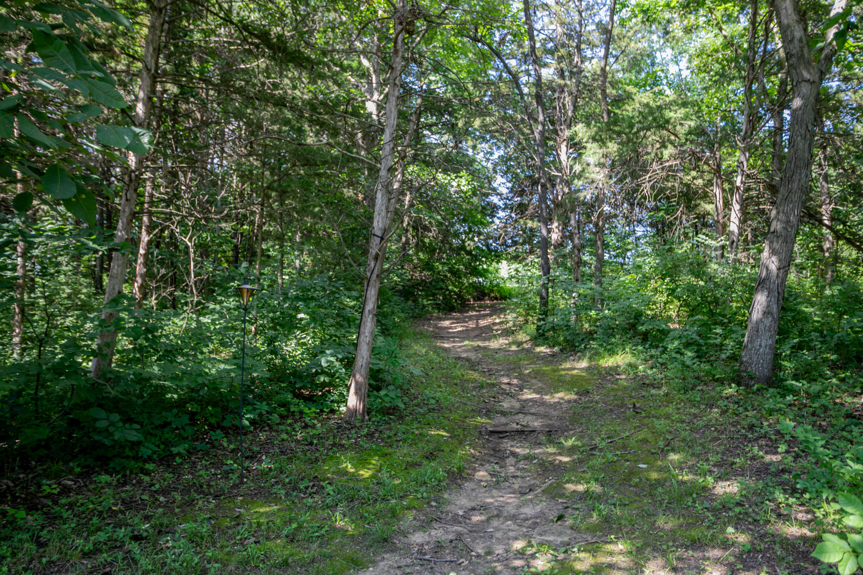 5860 E Osage Ridge Ln Property Photo 100