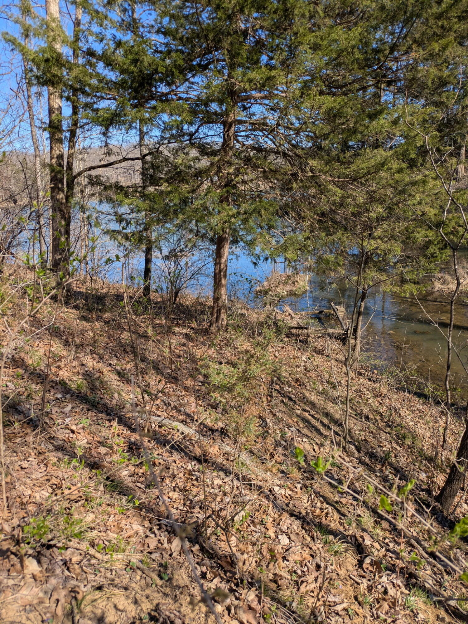 6149 Redwing Ln Property Photo 1