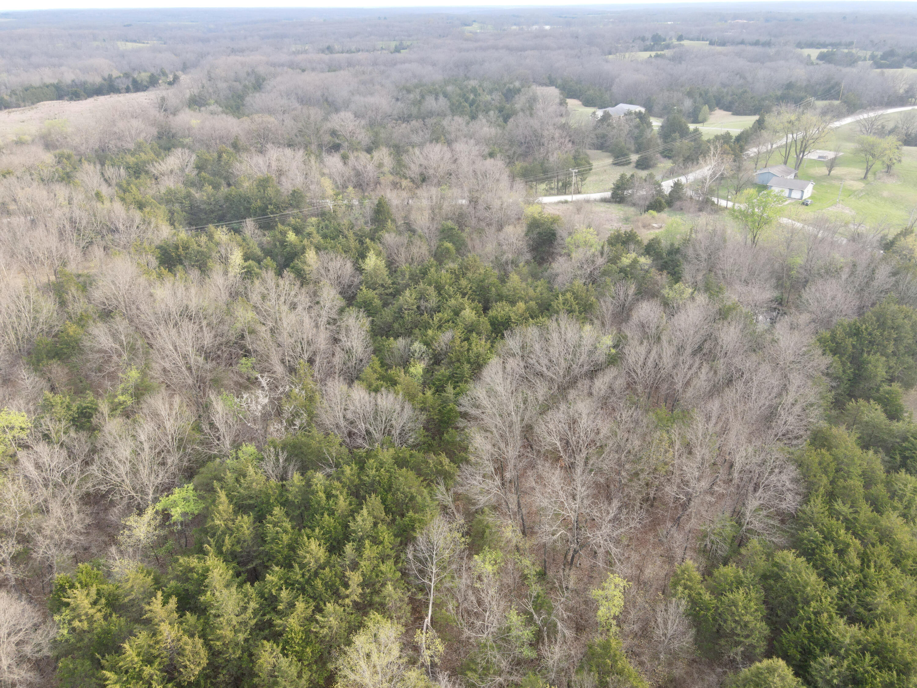 W Ridge Trail Rd Property Photo 3