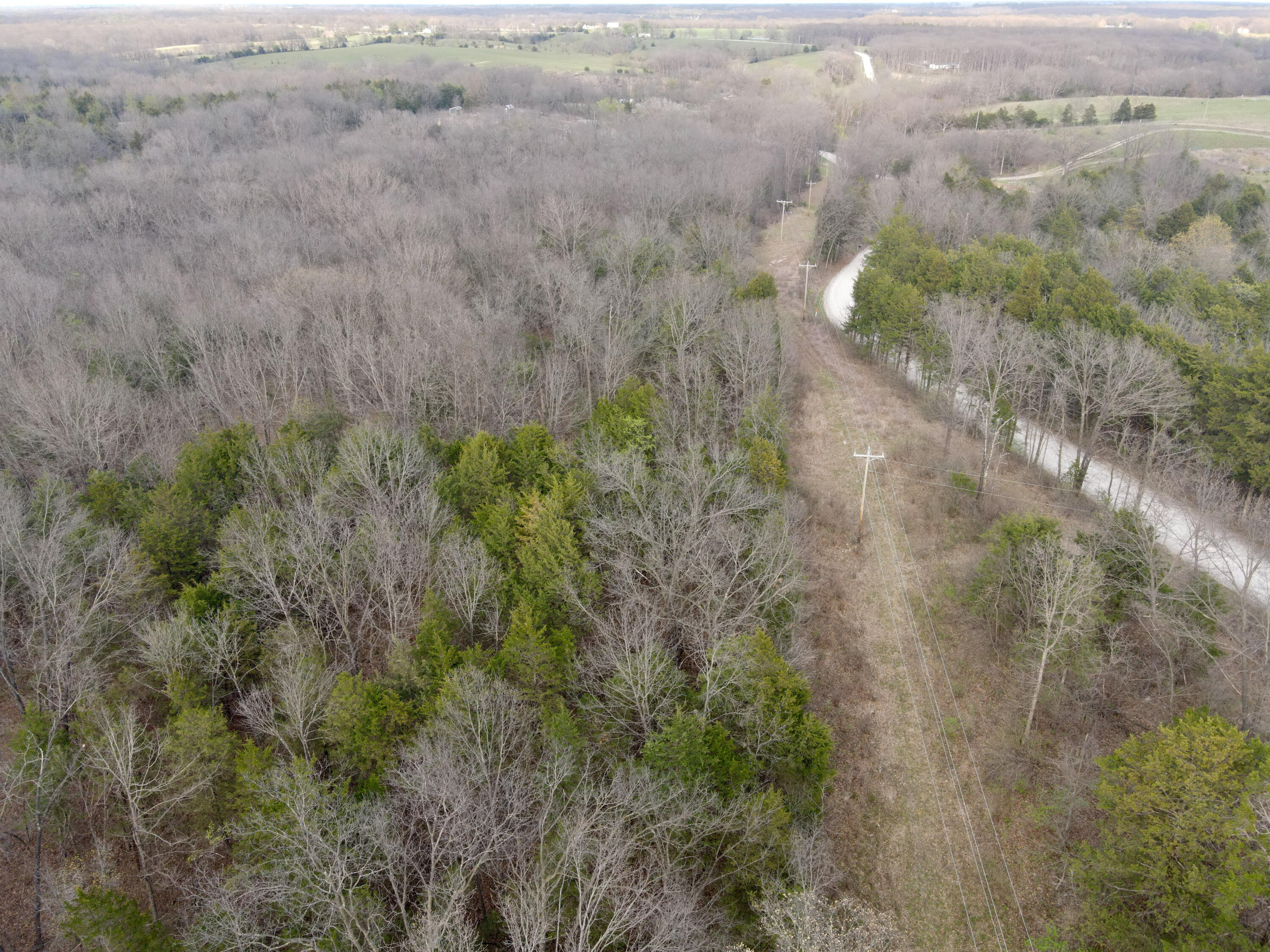 W Ridge Trail Rd Property Photo 4
