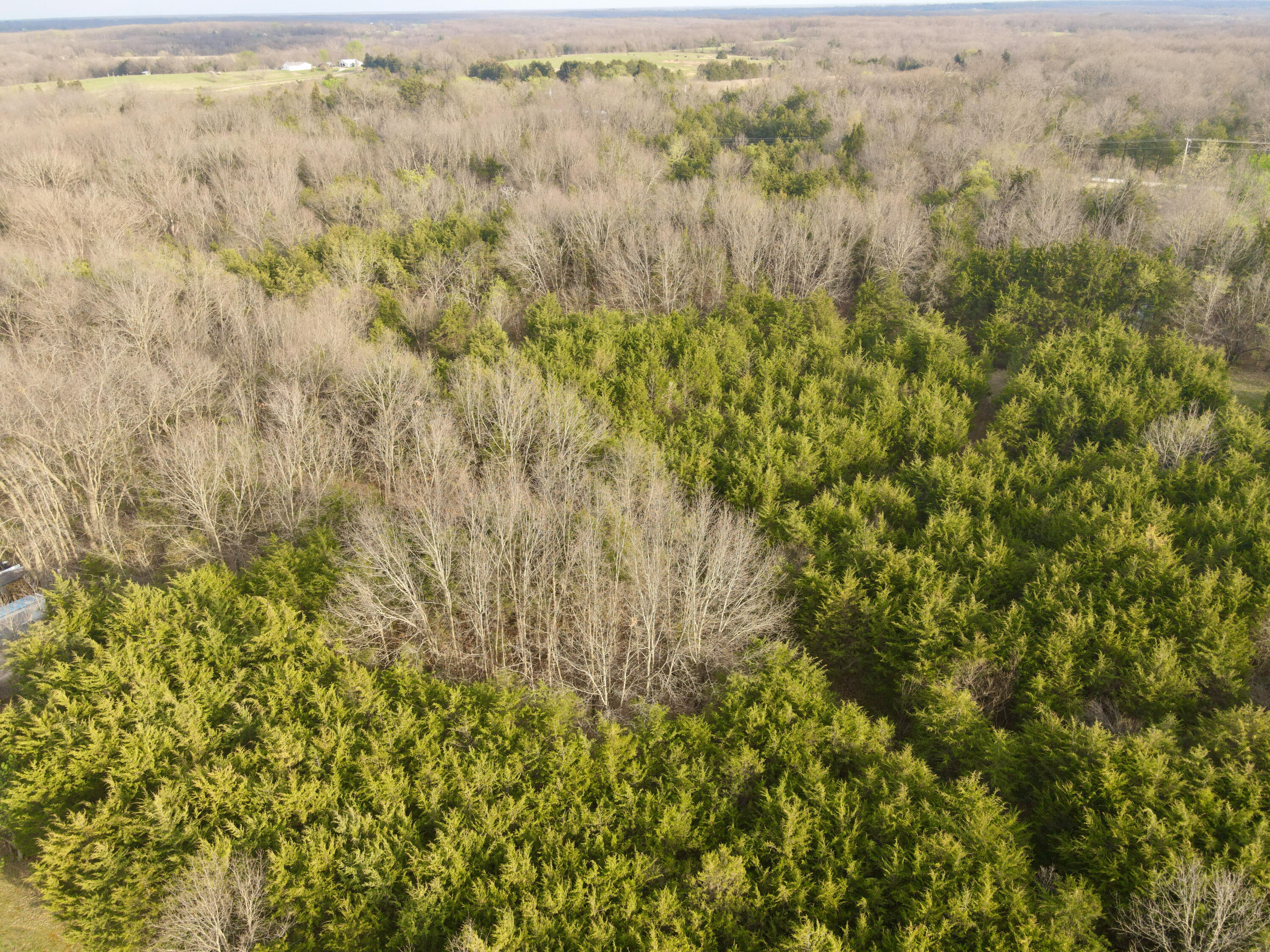 W Ridge Trail Rd Property Photo 5
