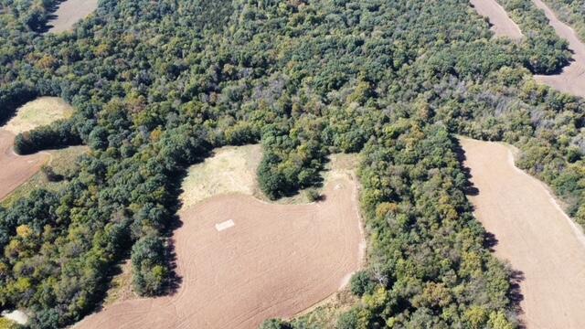Ferry Rd Property Photo 20