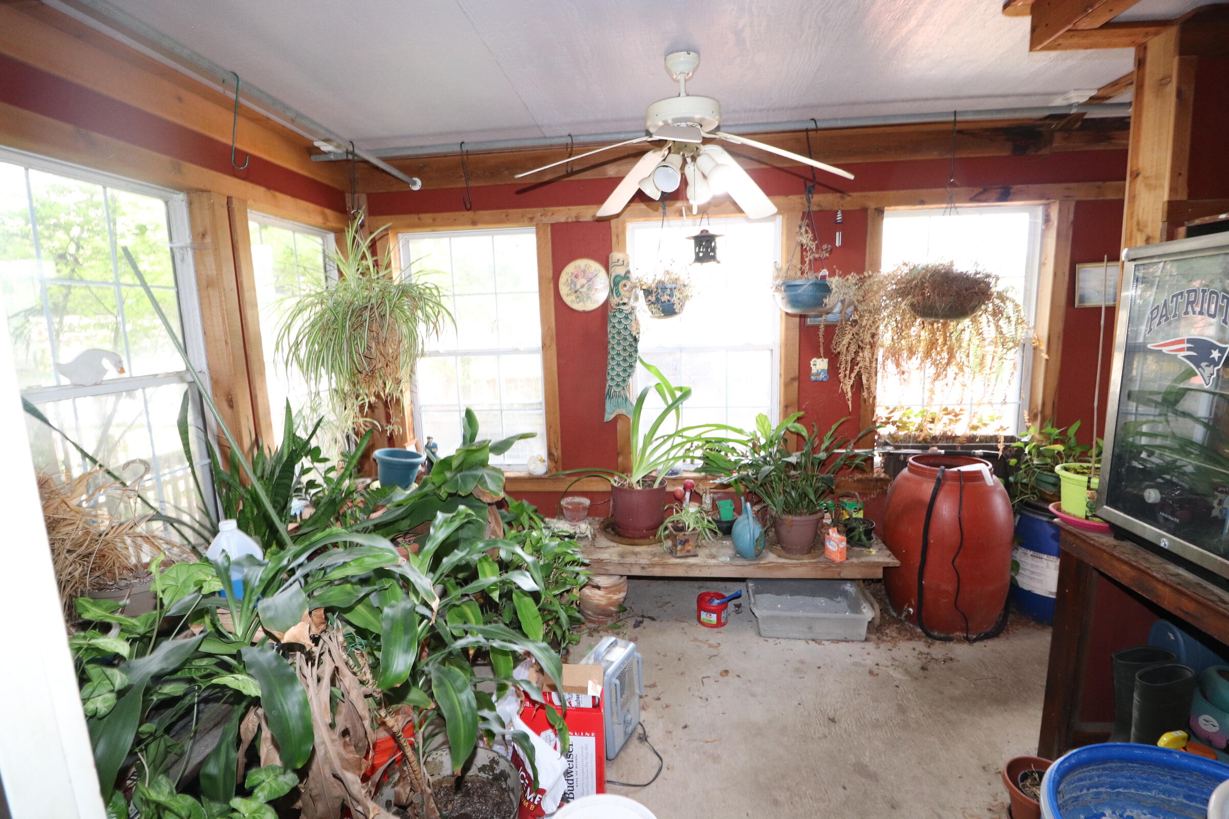 825 High St Property Photo 65