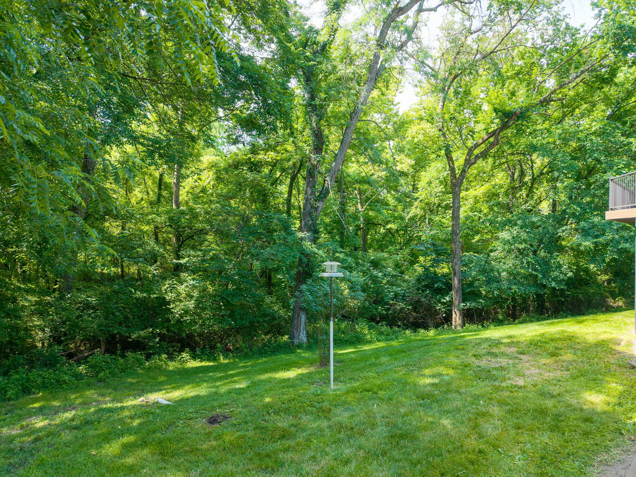 3050 W Picket Post St Property Photo 51