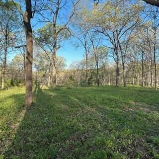 Lot 2 County Road 388 Property Photo 1