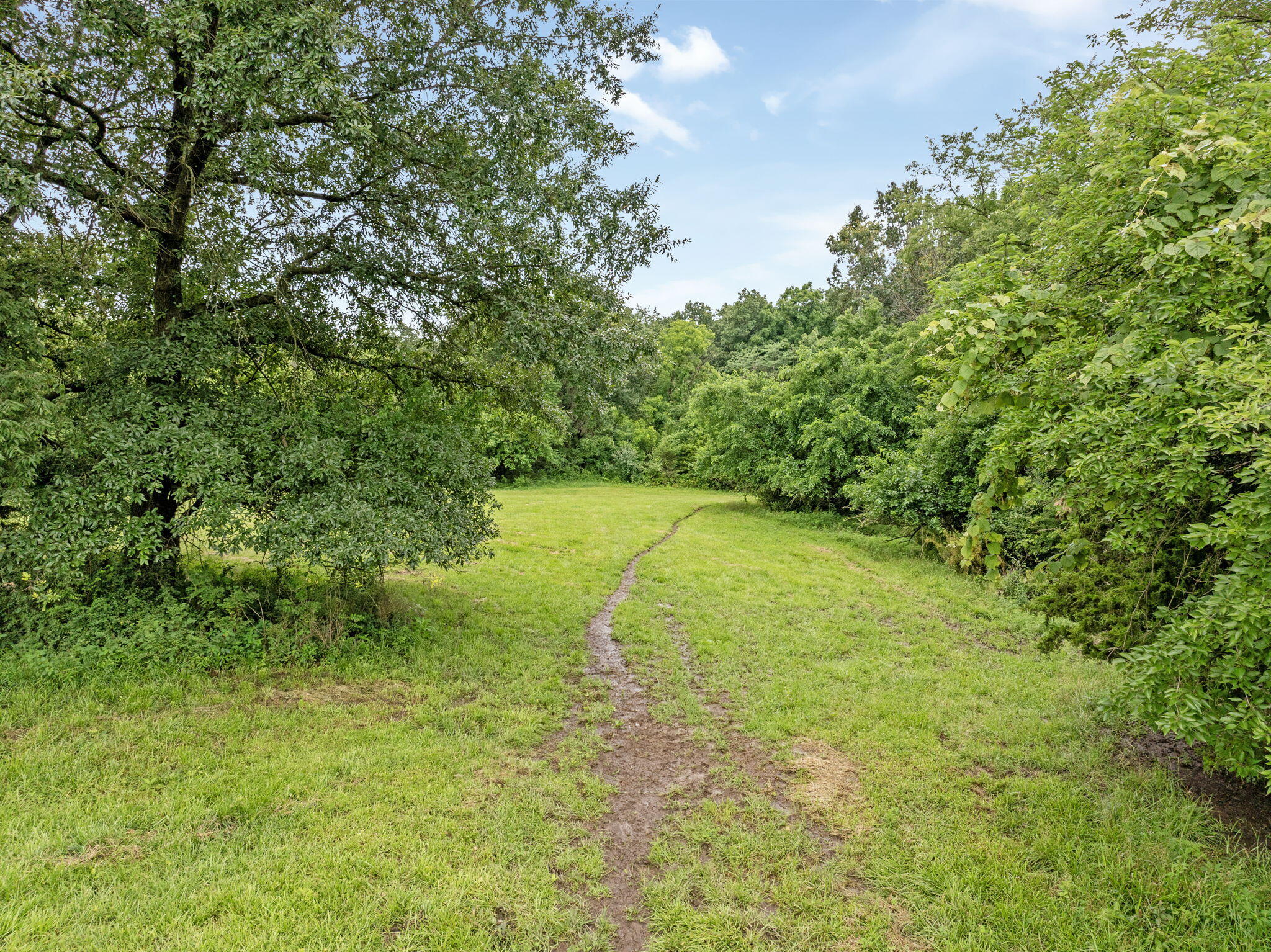 17201 Rankin Mill Ln Property Photo 1