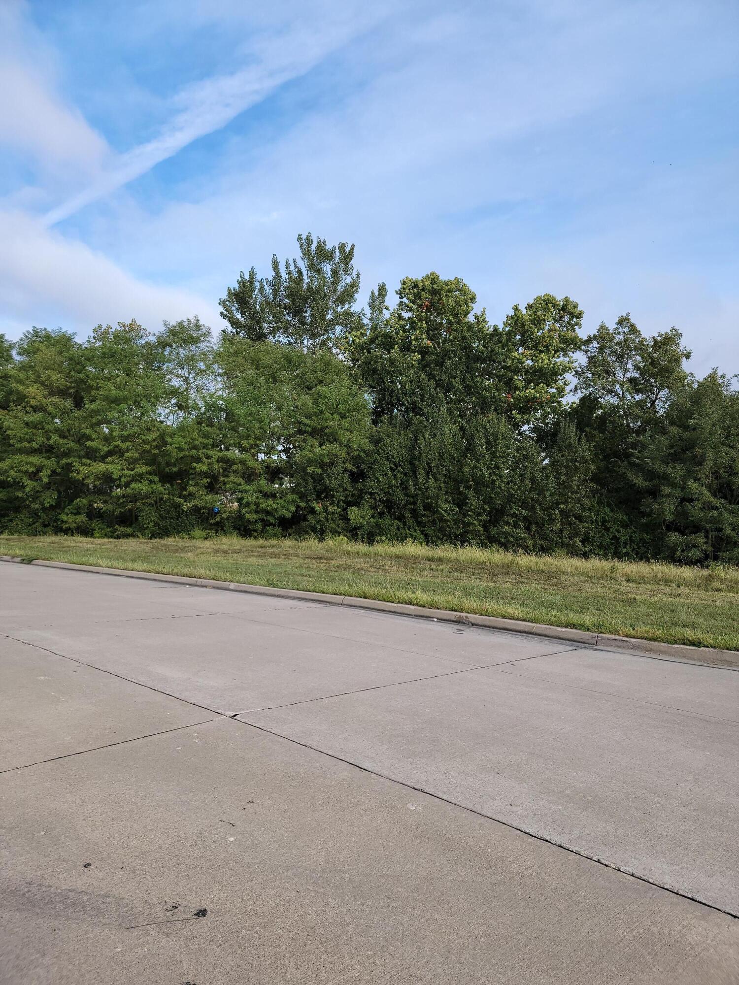 LOT 4 FLANDERS CT Property Photo 1