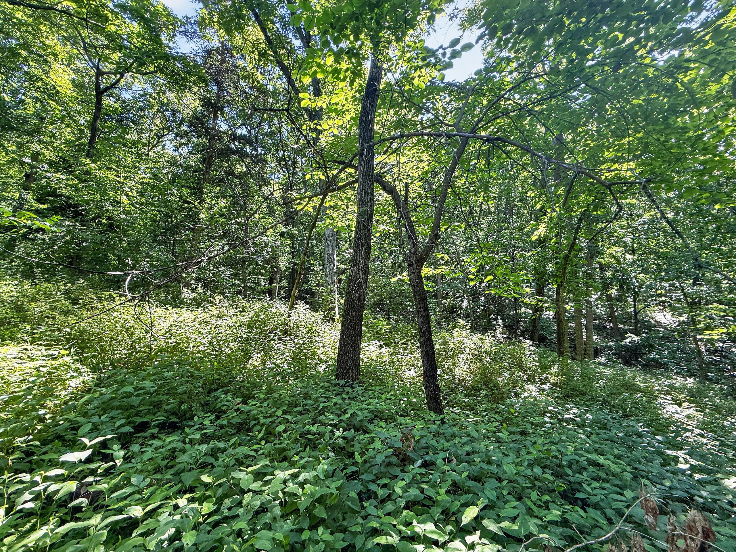 4745 N Old Barclay Ridg Rd Property Photo 96