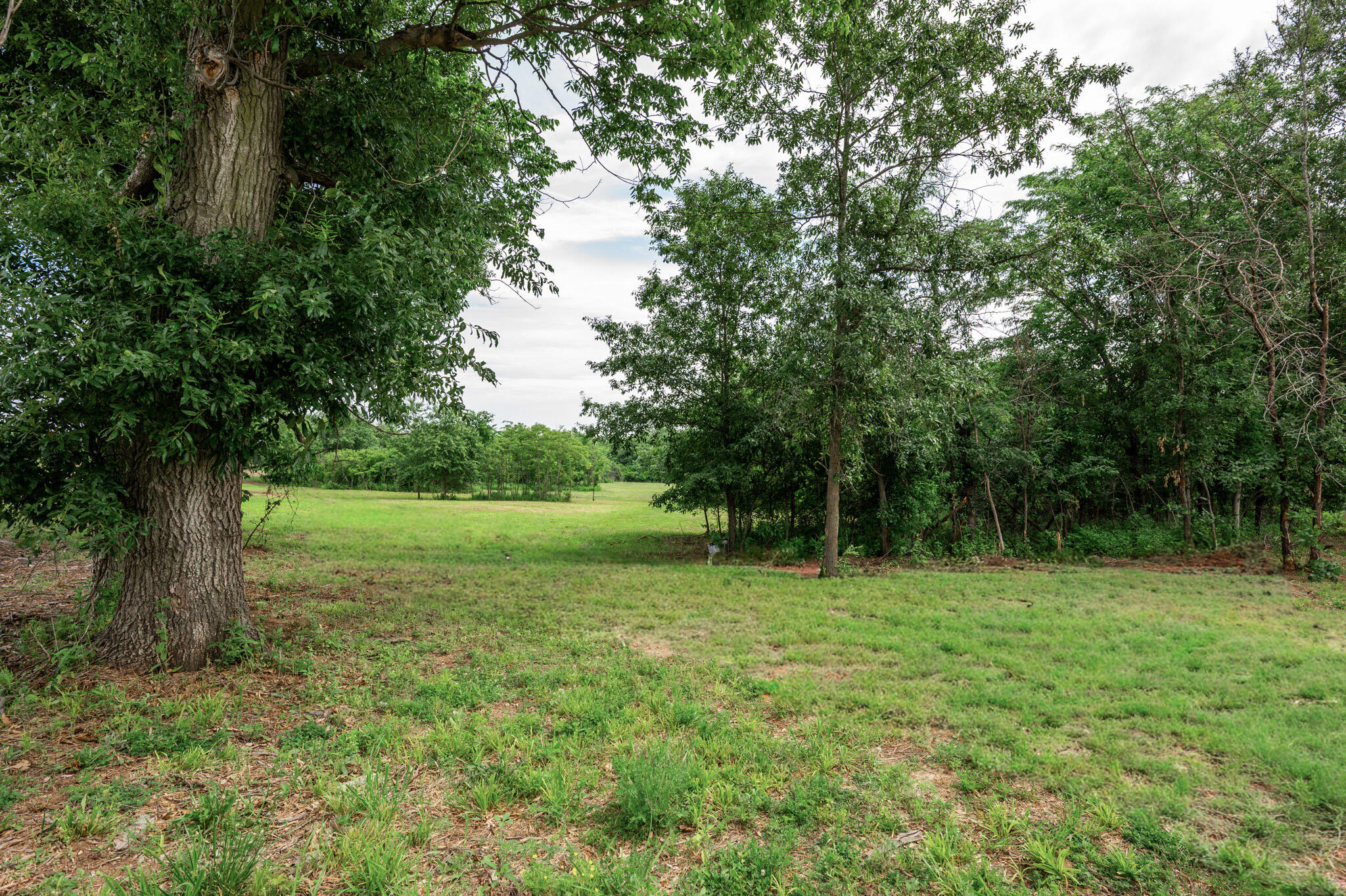 21 Halyon Estates Property Photo 4