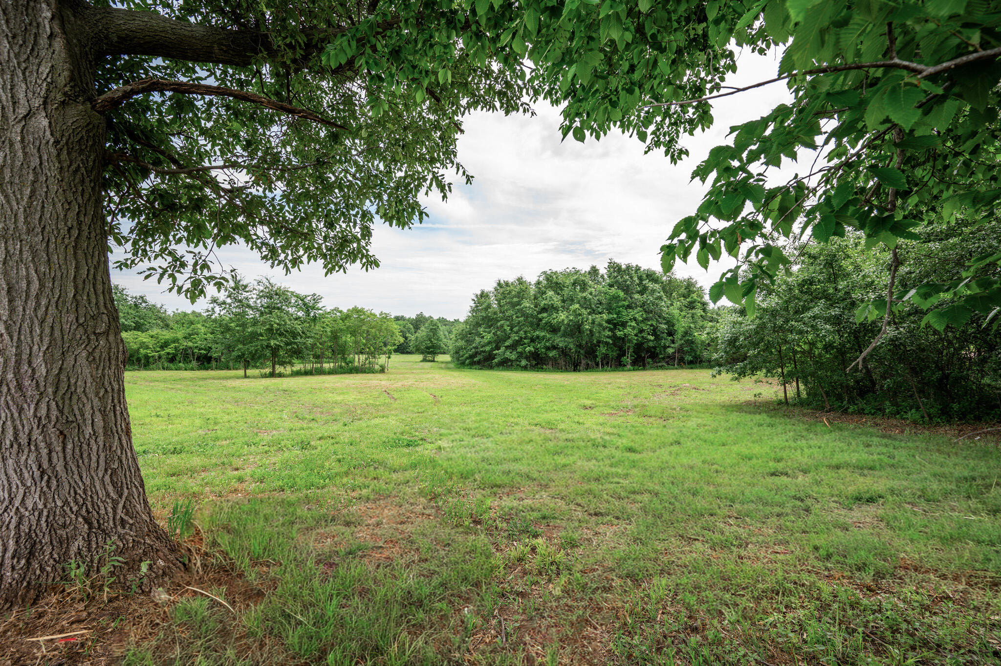21 Halyon Estates Property Photo 6