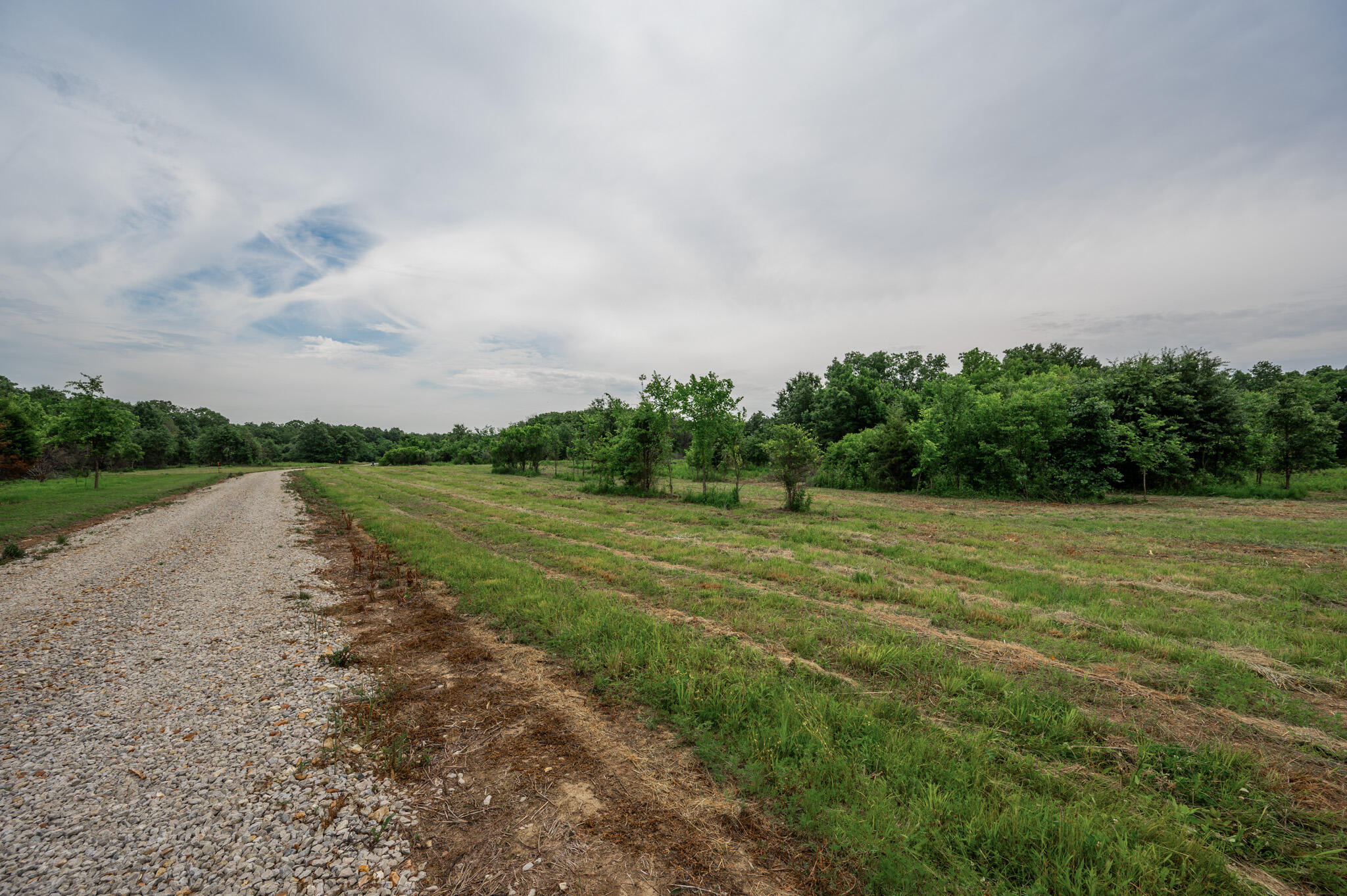 26 Halyon Estates Property Photo 5
